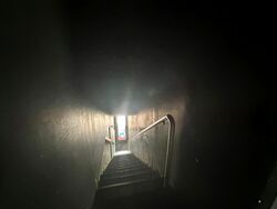 Geylang Road (D14), Shop House #603554981